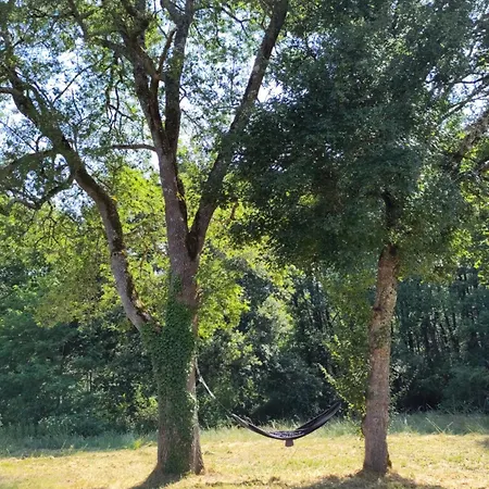 La Longere Aux Agrumes - Piscine Jardin-foret