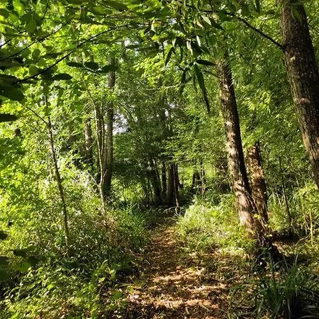 La Longere Aux Agrumes - Piscine Jardin-foret Tatil Evi *