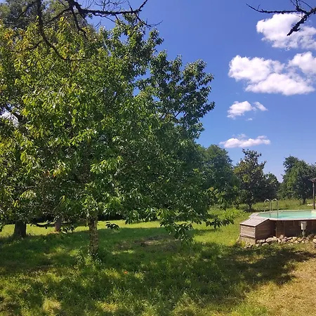 La Longere Aux Agrumes - Piscine Jardin-foret *