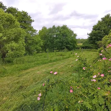 La Longere Aux Agrumes - Piscine Jardin-foret