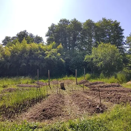 La Longere Aux Agrumes - Piscine Jardin-foret בית נופש *
